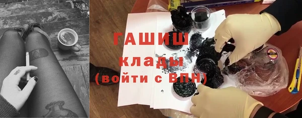 прущие грибы Переславль-Залесский