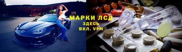 PSILOCYBIN Алзамай