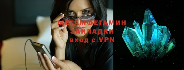 прущие грибы Переславль-Залесский