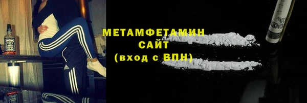 прущие грибы Пересвет