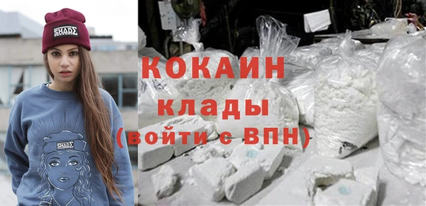 прущие грибы Пересвет