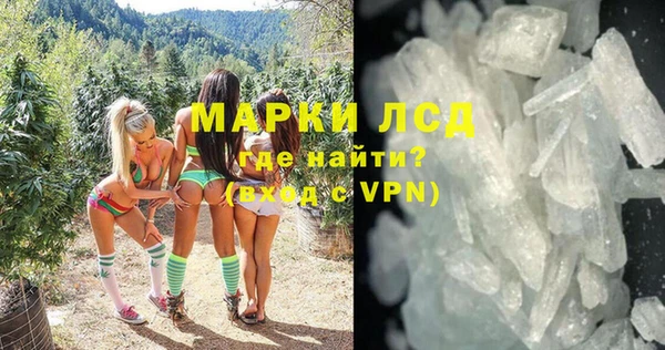 прущие грибы Пересвет