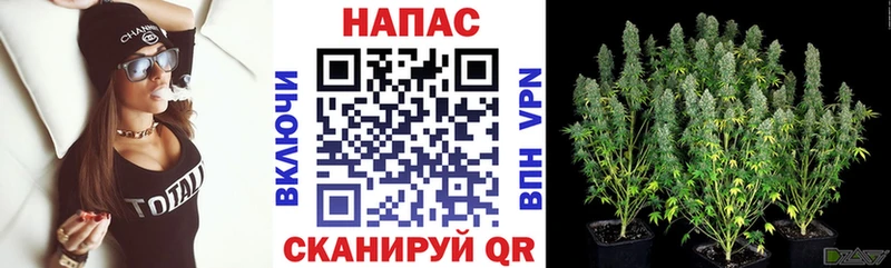 Конопля SATIVA & INDICA ОМГ ОМГ ссылки shop состав купить наркотики сайты Сураж